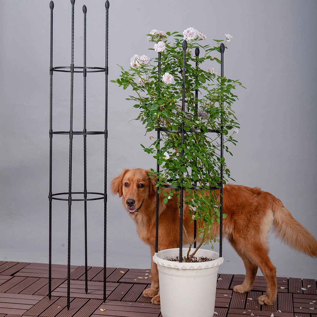 SOGA 133cm 4-Bar Plant Frame Stand Trellis Vegetable Flower Herbs Outdoor Vine Support Garden Rack PLANTTUBE133