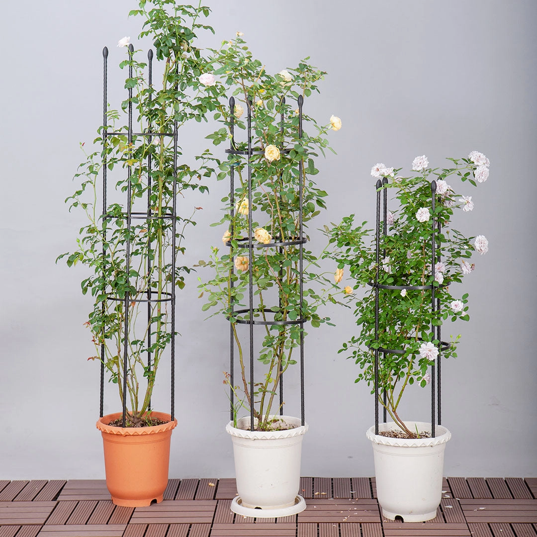 SOGA 163cm 4-Bar Plant Frame Stand Trellis Vegetable Flower Herbs Outdoor Vine Support Garden Rack PLANTTUBE163