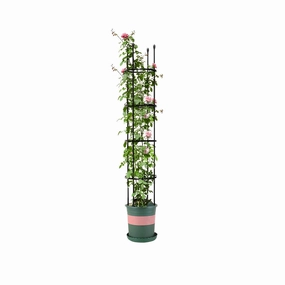 SOGA 163cm 4-Bar Plant Frame Stand Trellis Vegetable Flower Herbs Outdoor Vine Support Garden Rack PLANTTUBE163 cactus succulent plant  