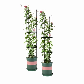SOGA 2X 133cm 4-Bar Plant Frame Stand Trellis Vegetable Flower Herbs Outdoor Vine Support Garden PLANTTUBE133X2 cactus succulent plant  