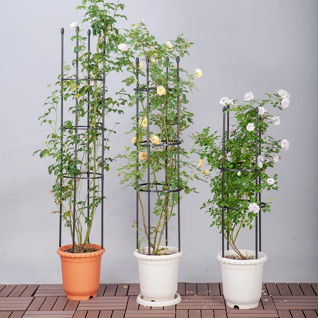 SOGA 2X 133cm 4-Bar Plant Frame Stand Trellis Vegetable Flower Herbs Outdoor Vine Support Garden PLANTTUBE133X2