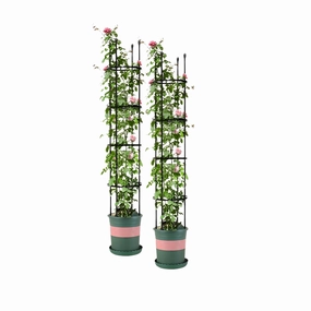 SOGA 2X 163cm 4-Bar Plant Frame Stand Trellis Vegetable Flower Herbs Outdoor Vine Support Garden PLANTTUBE163X2 cactus succulent plant  