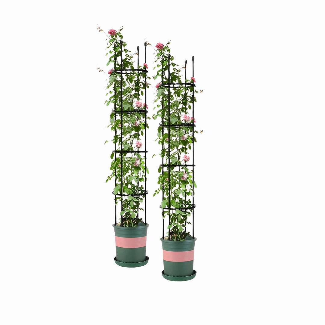 SOGA 2X 163cm 4-Bar Plant Frame Stand Trellis Vegetable Flower Herbs Outdoor Vine Support Garden PLANTTUBE163X2 cactus succulent plant  