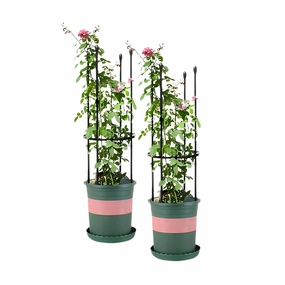 SOGA 2X 73cm 4-Bar Plant Frame Stand Trellis Vegetable Flower Herbs Outdoor Vine Support Garden Rack PLANTTUBE73X2 cactus succulent plant  