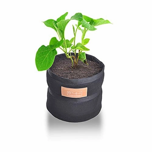 Soilless Gardening Grow Bag Combo 1 (Growbag, Growmix, Seeds and Nutrients)