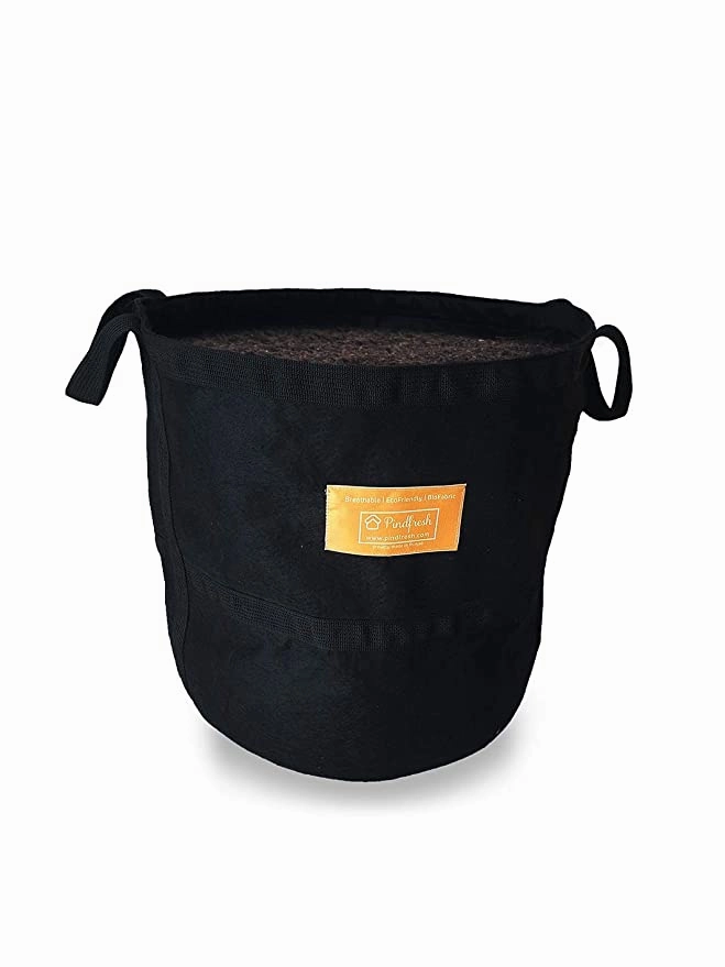 Soilless Gardening Grow Bag Combo 2 (Growbag, Growmix, Seeds and Nutrients)