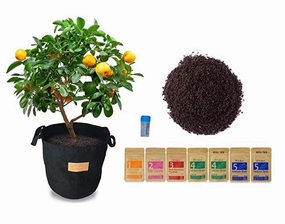 Soilless Gardening Grow Bag Combo 2 (Growbag, Growmix, Seeds and Nutrients) classic flowerpot  