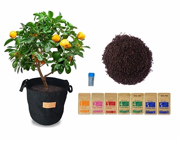 Soilless Gardening Grow Bag Combo 2 (Growbag, Growmix, Seeds and Nutrients) classic flowerpot  