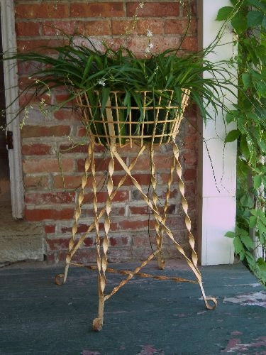 Solid Iron Egg Basket with Twisted Strap On Legs cactus succulent plant  