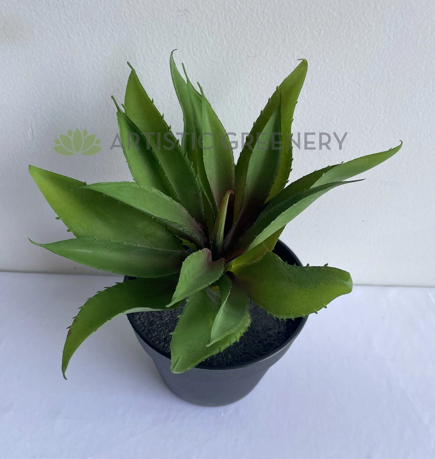SP0014 Aloe Vera Real Touch 28cm