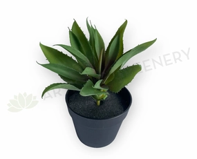 SP0014 Aloe Vera Real Touch 28cm mini ornamental plant  