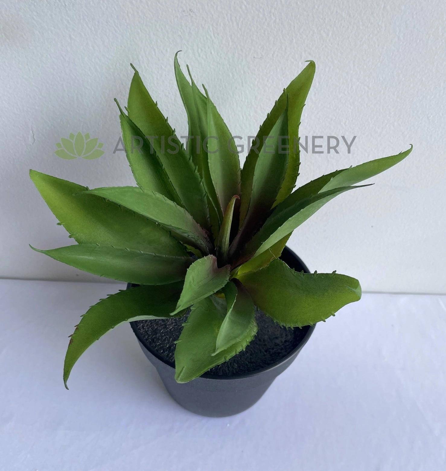 SP0014 Aloe Vera Real Touch 28cm