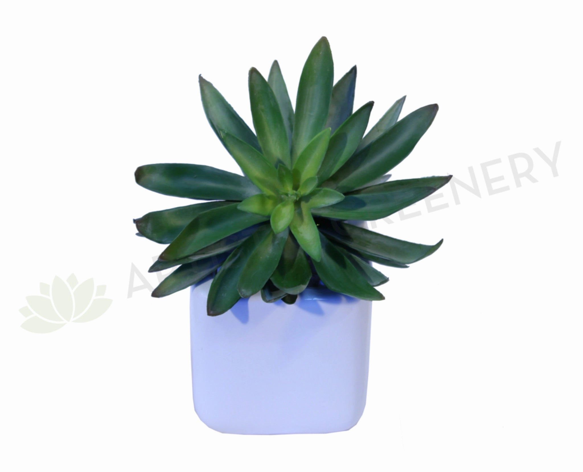 SP0015 Green Succulent 20cm mini ornamental plant  