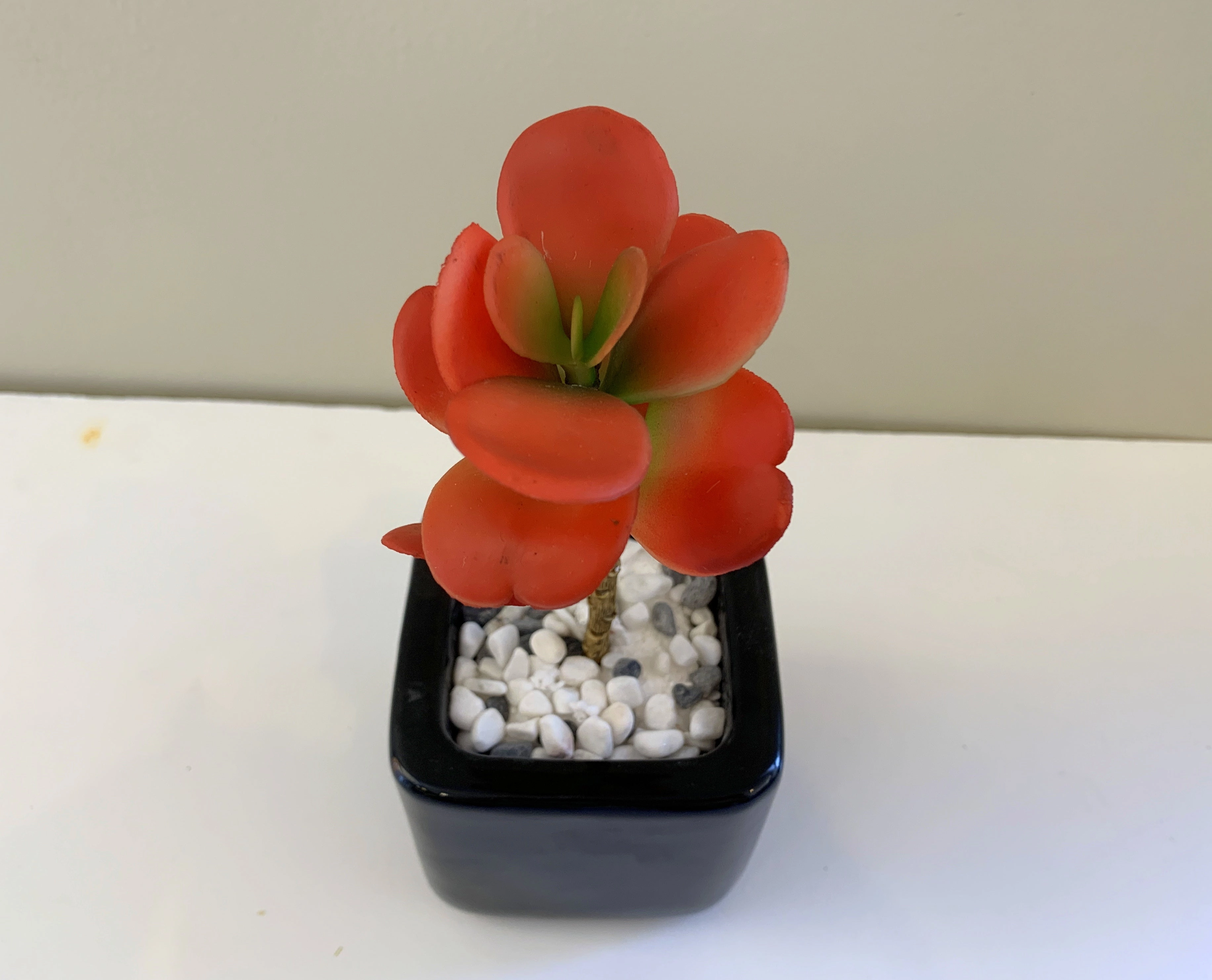 SP0017 Orange Sedum 19cm