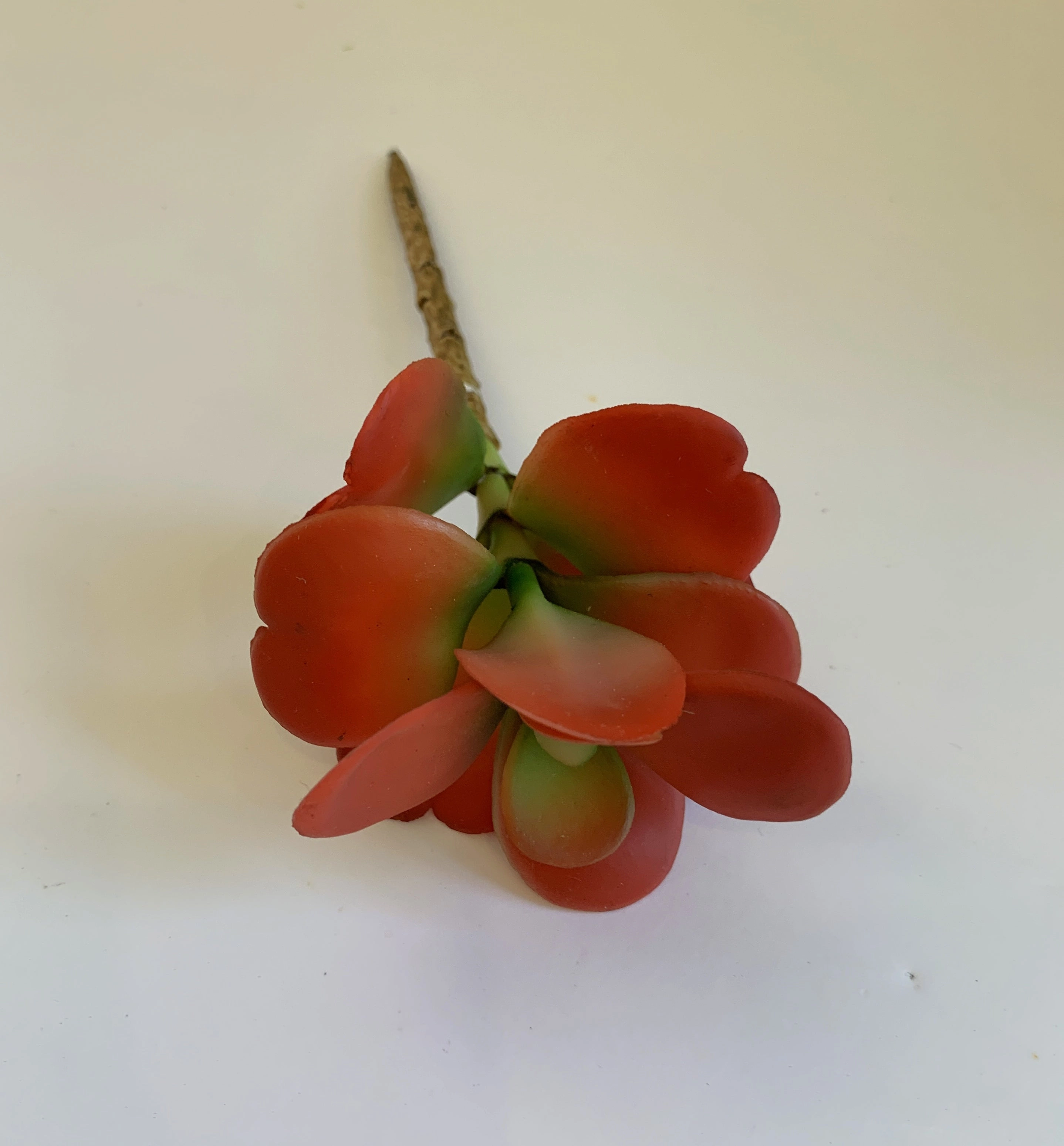 SP0017 Orange Sedum 19cm