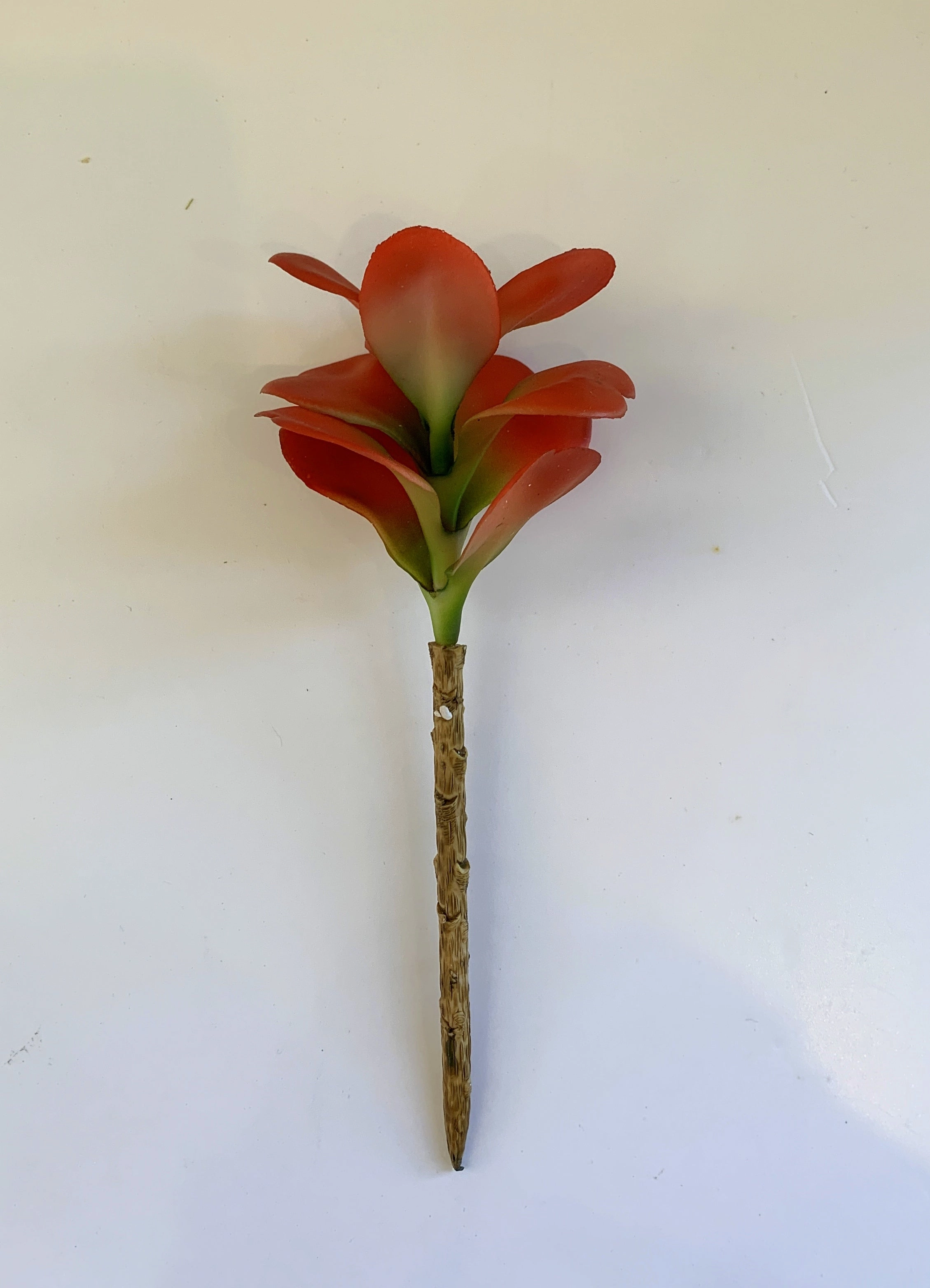 SP0017 Orange Sedum 19cm