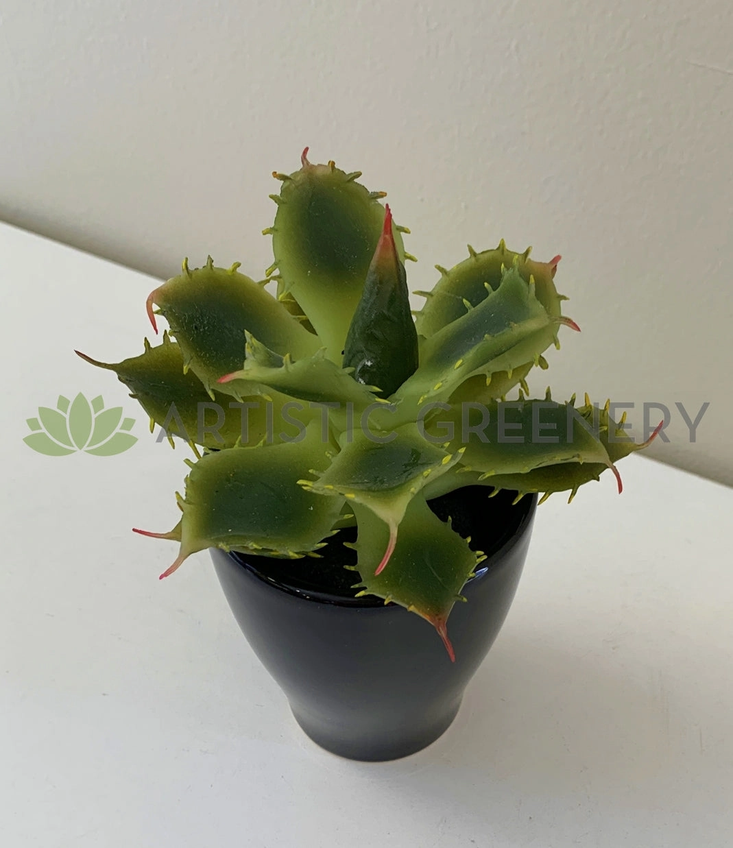 SP0021 Small Cactus 14cm 3 styles