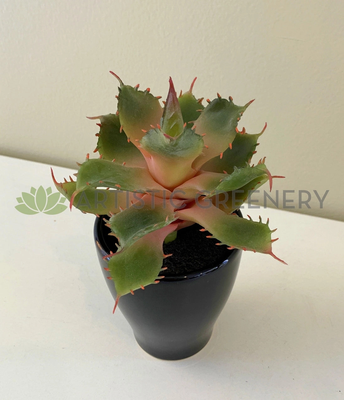 SP0021 Small Cactus 14cm 3 styles