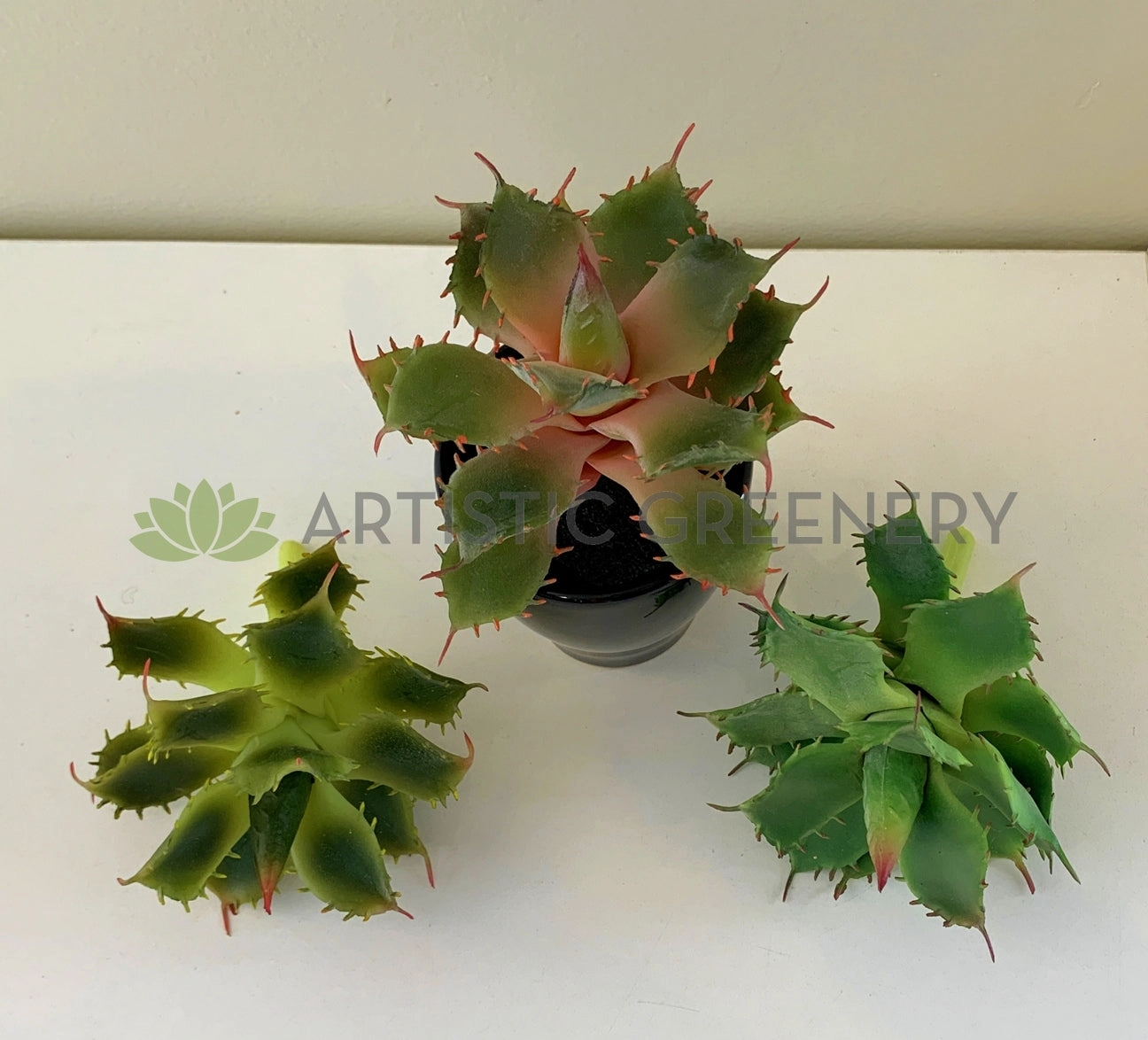 SP0021 Small Cactus 14cm 3 styles