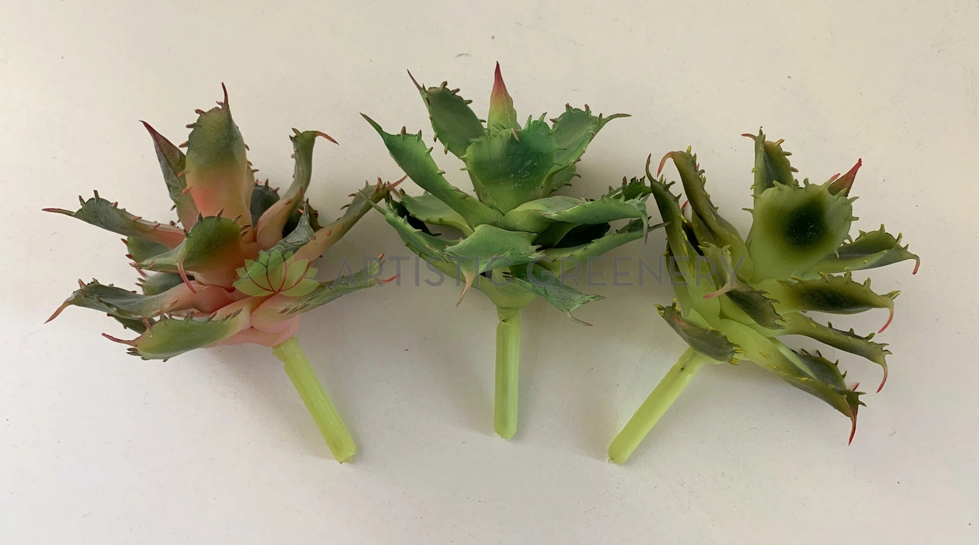 SP0021 Small Cactus 14cm 3 styles