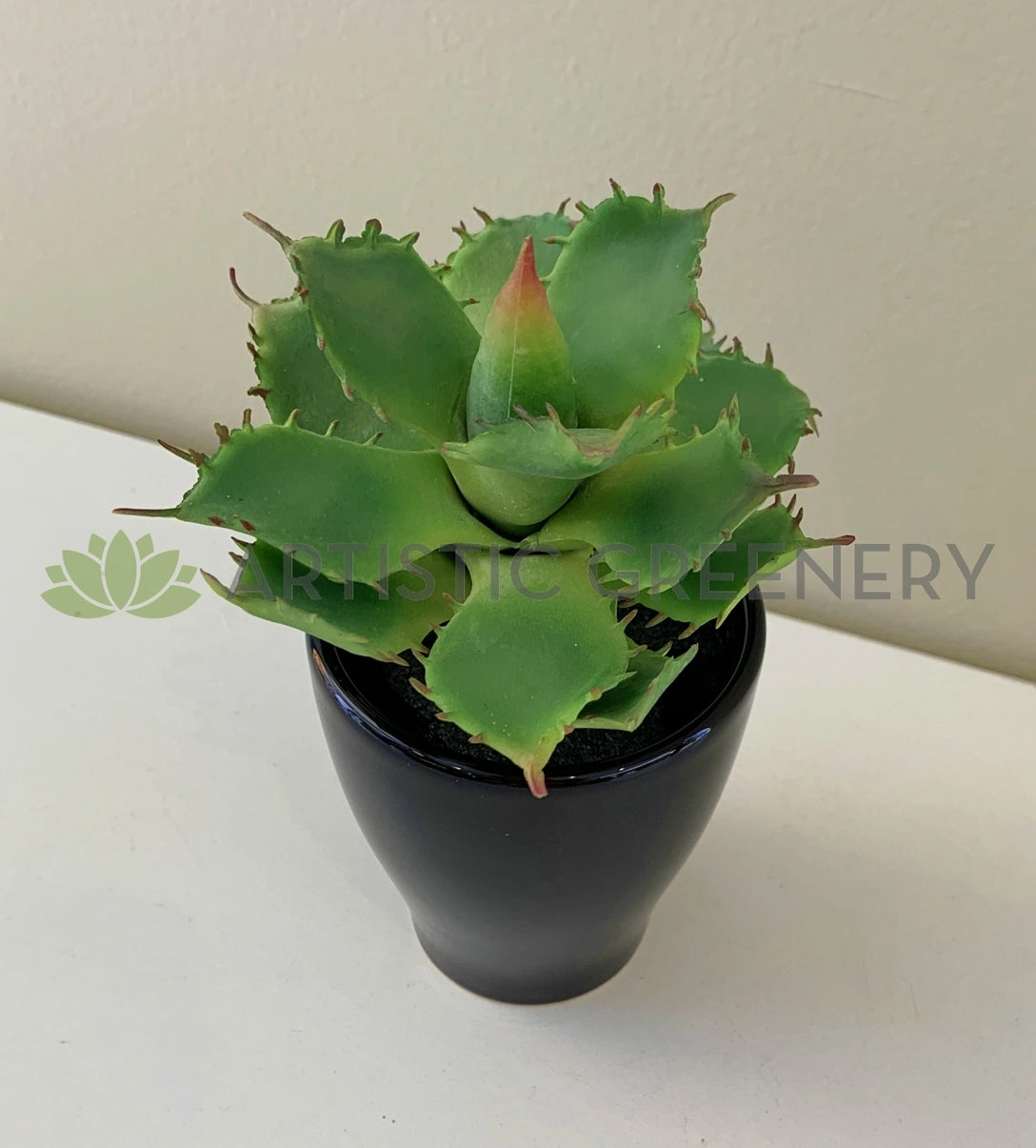 SP0021 Small Cactus 14cm 3 styles