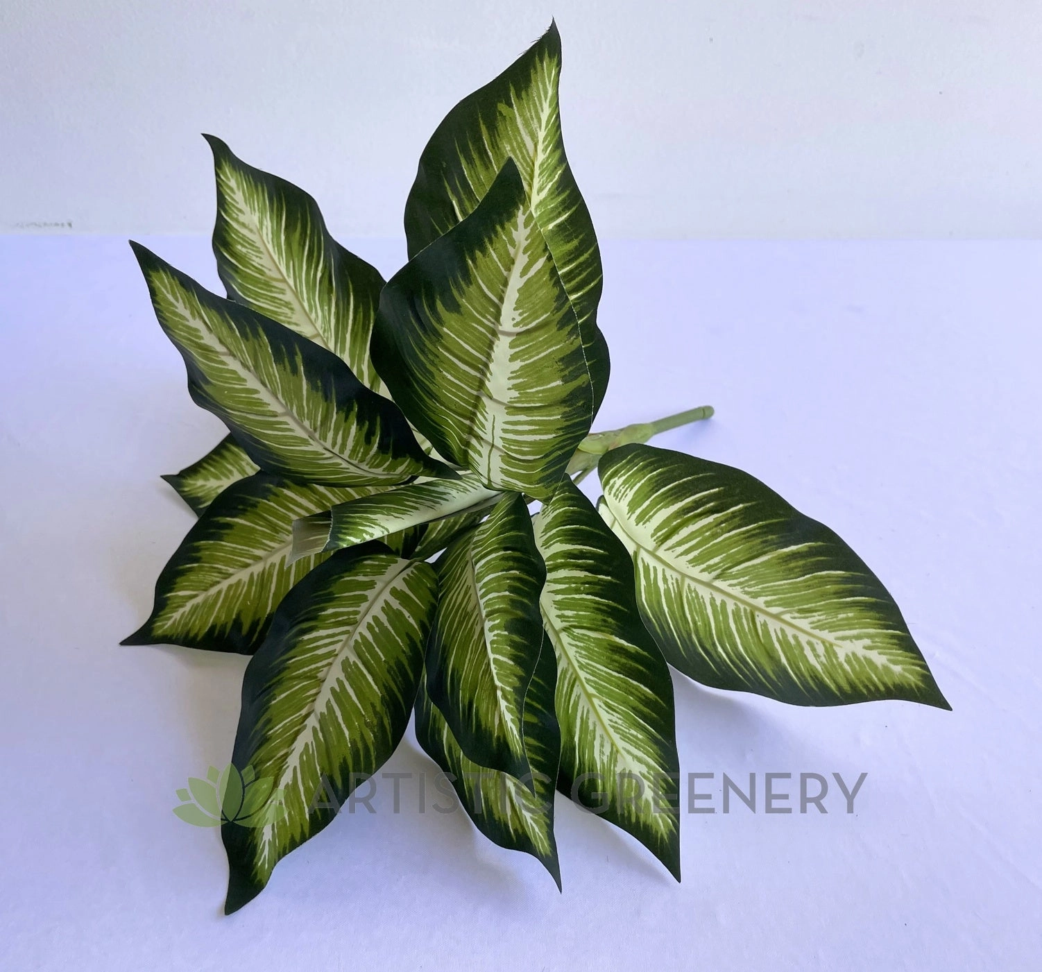 SP0024XS Gold Dieffenbachia / Dumb Cane / Leopad Lily 39cm