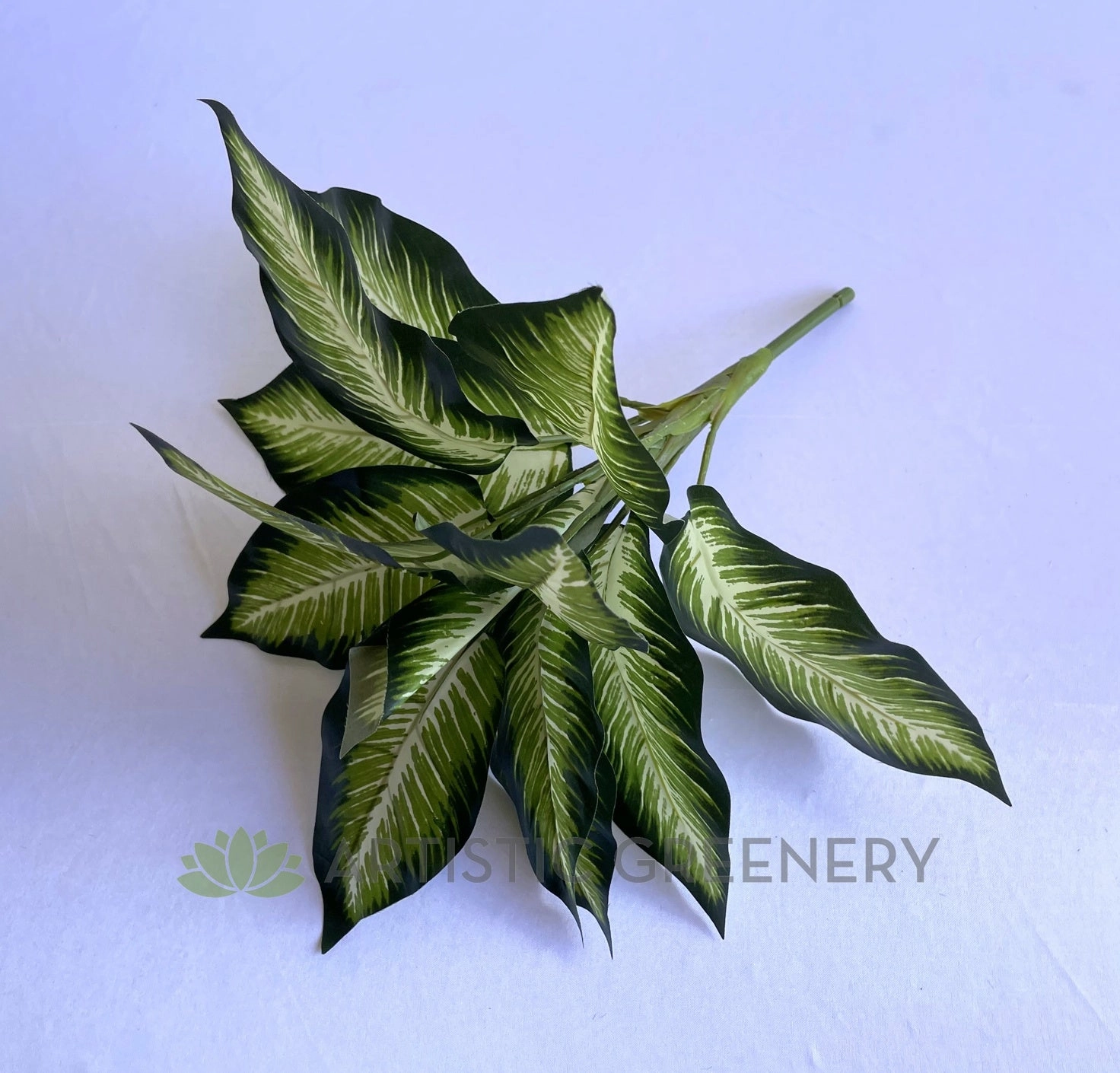 SP0024XS Gold Dieffenbachia / Dumb Cane / Leopad Lily 39cm