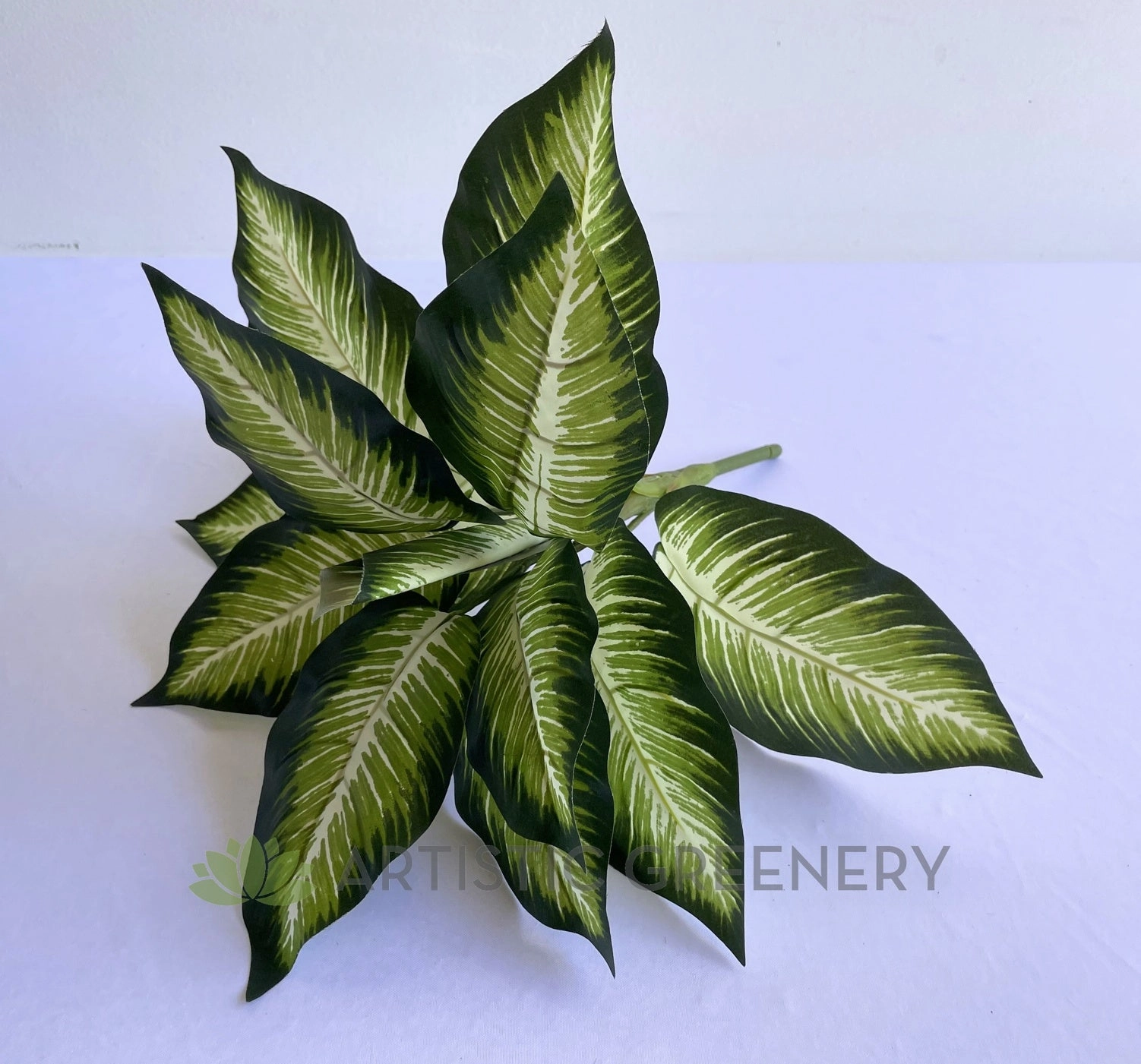 SP0024XS Gold Dieffenbachia / Dumb Cane / Leopad Lily 39cm