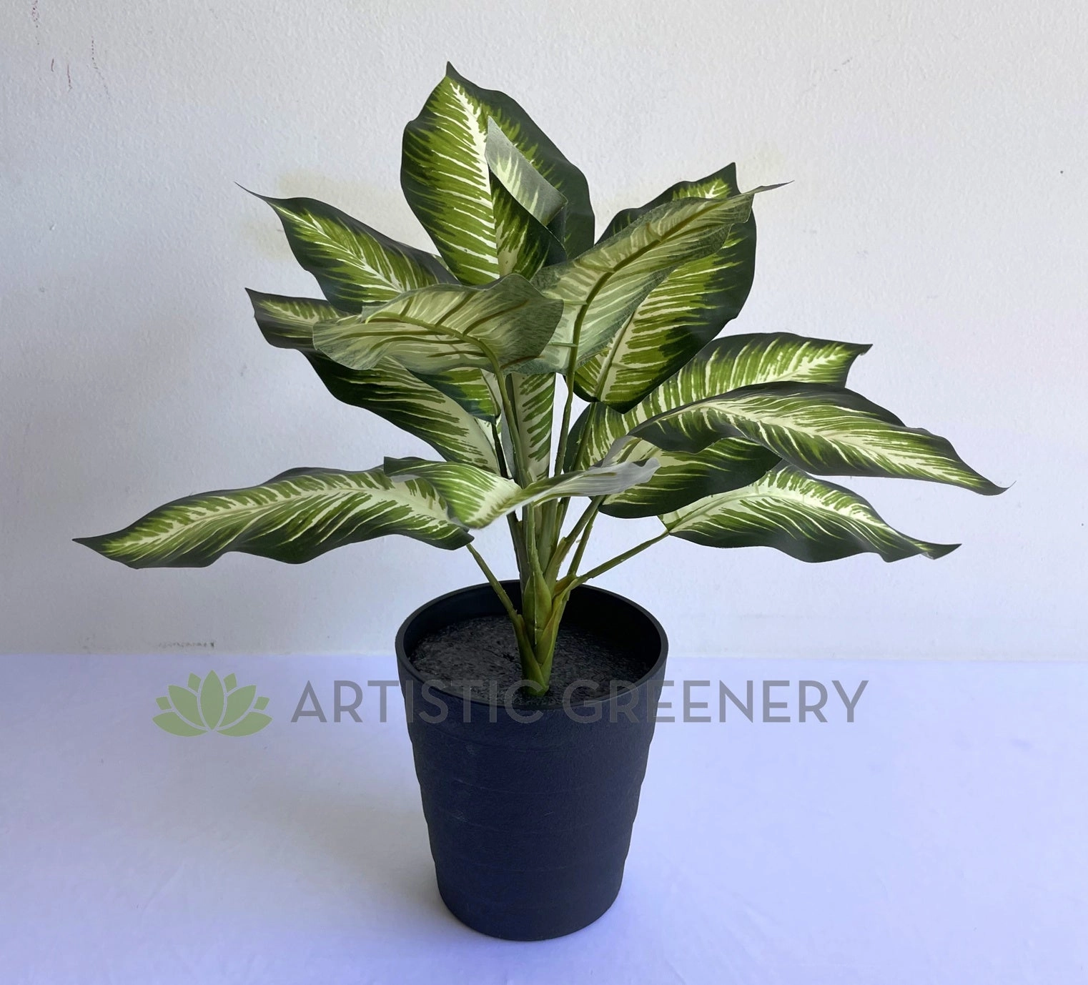 SP0024XS Gold Dieffenbachia / Dumb Cane / Leopad Lily 39cm