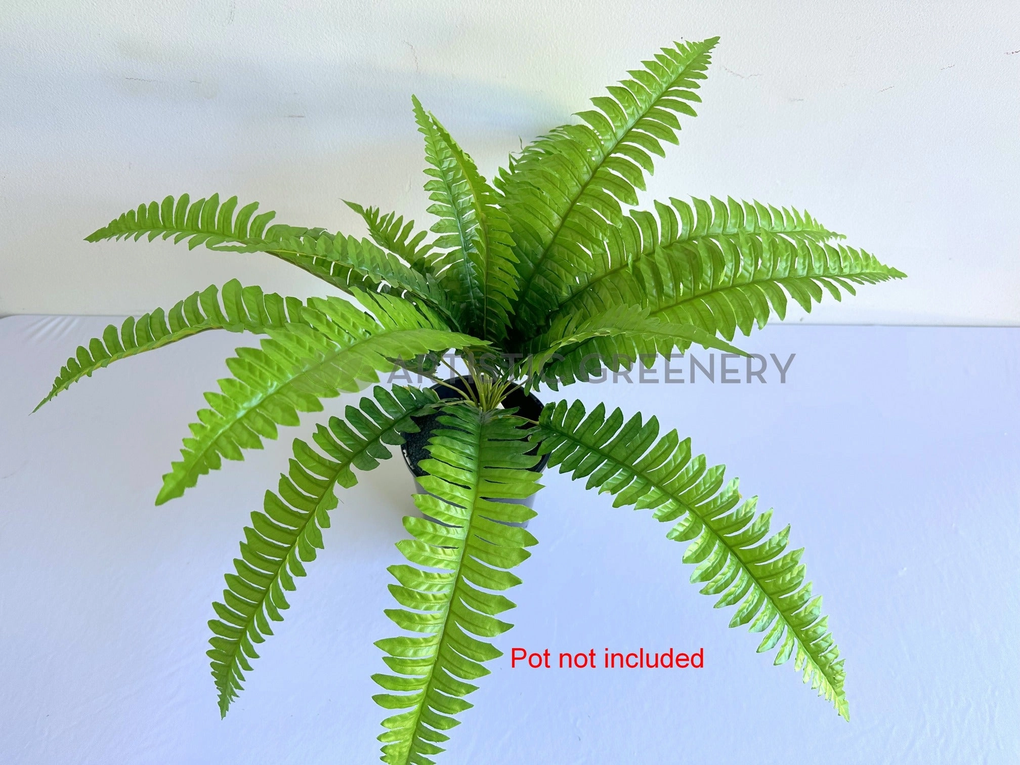 SP0029 Boston Fern 42cm Green