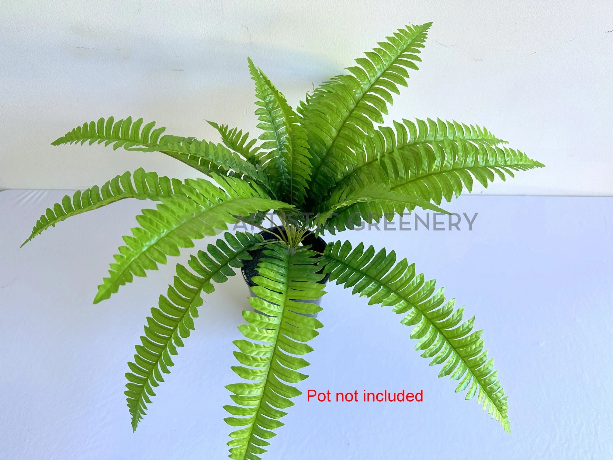 SP0029 Boston Fern 42cm Green