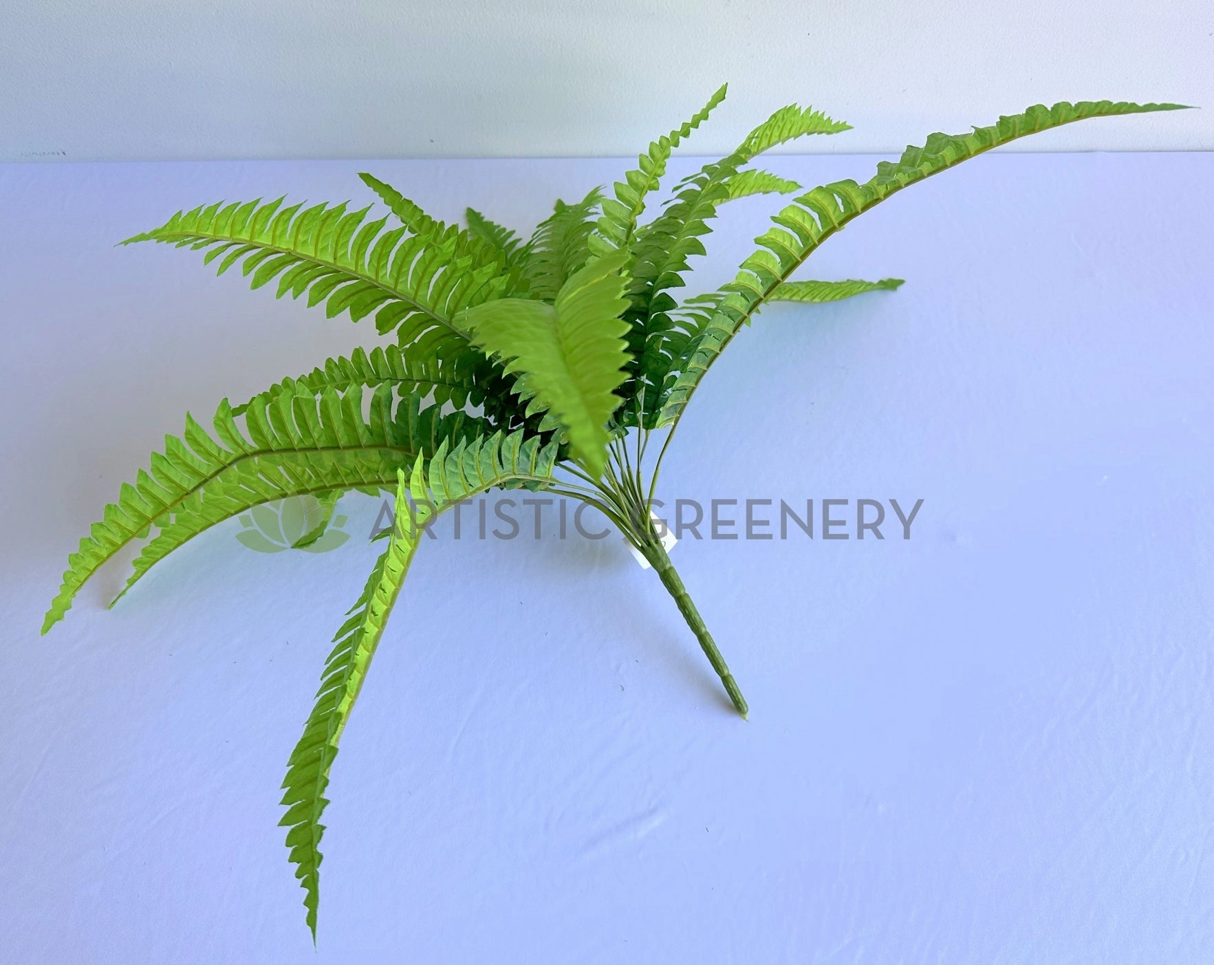 SP0029 Boston Fern 42cm Green