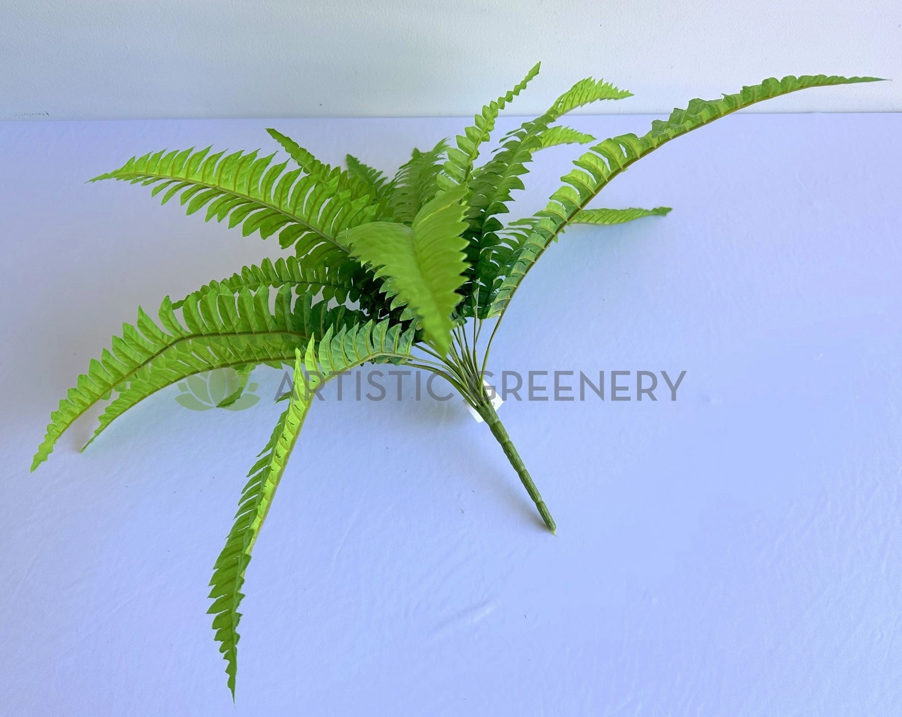 SP0029 Boston Fern 42cm Green