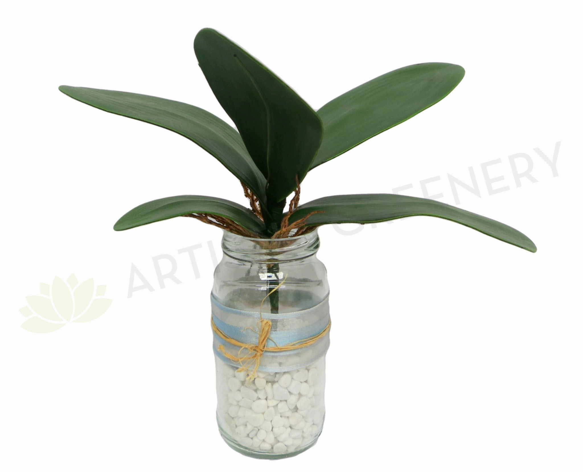 SP0034 Phalaenopsis Orchid Leaves 23cm Real Touch