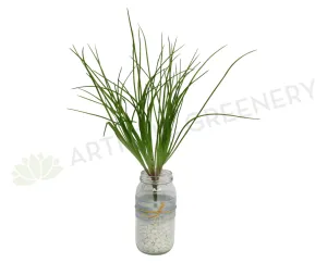 SP0035GRE Monkey Grass Green 40cm dried green plant  