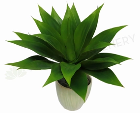 SP0036 Artificial Agave Attenuata mini ornamental plant  