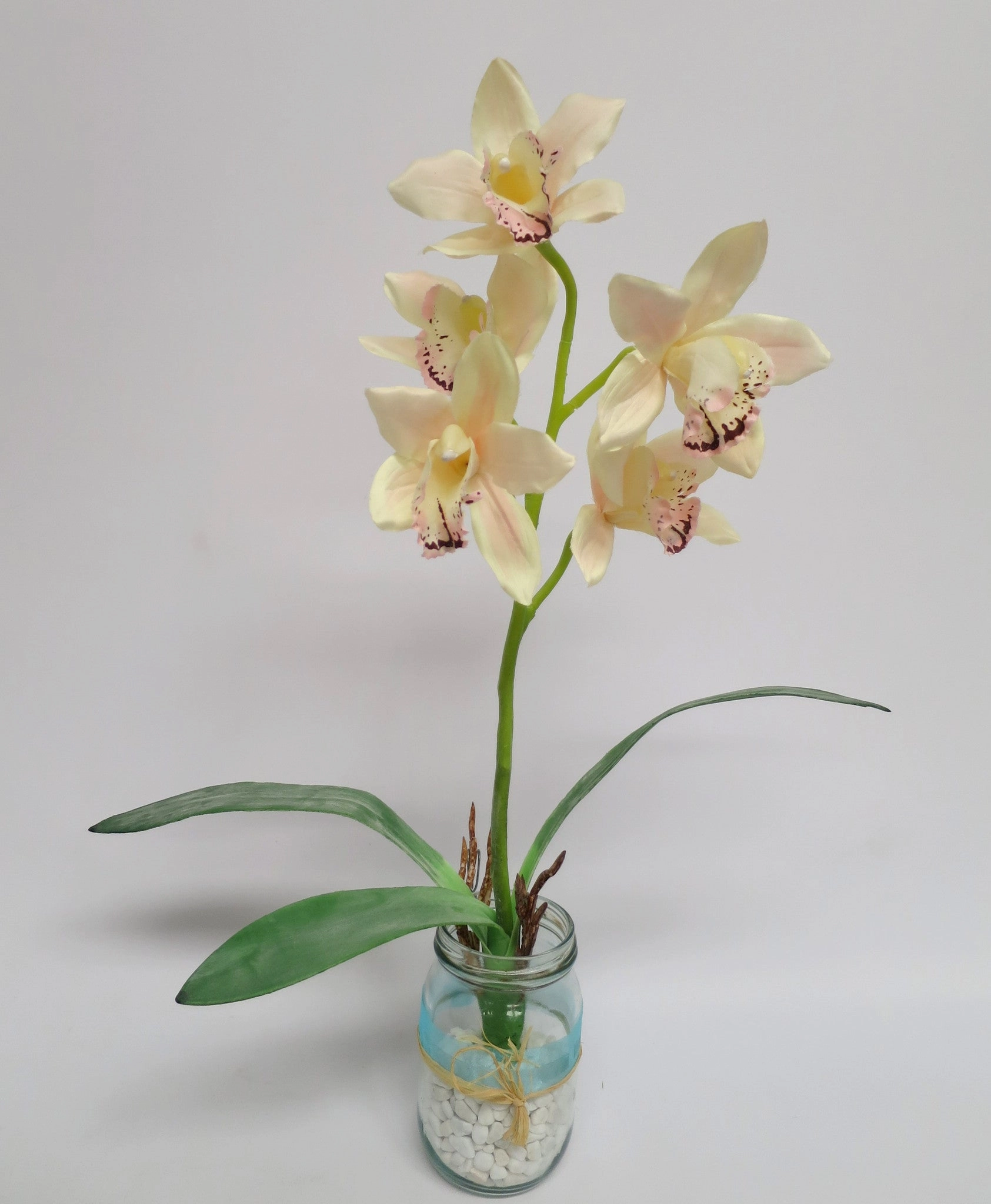 SP0045 Cymbidium Orchid Stem with Leaves 42cm 4 Colours