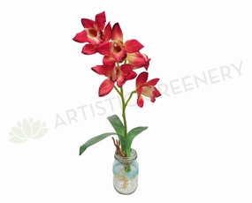 SP0045 Cymbidium Orchid Stem with Leaves 42cm 4 Colours outdoor greenery  