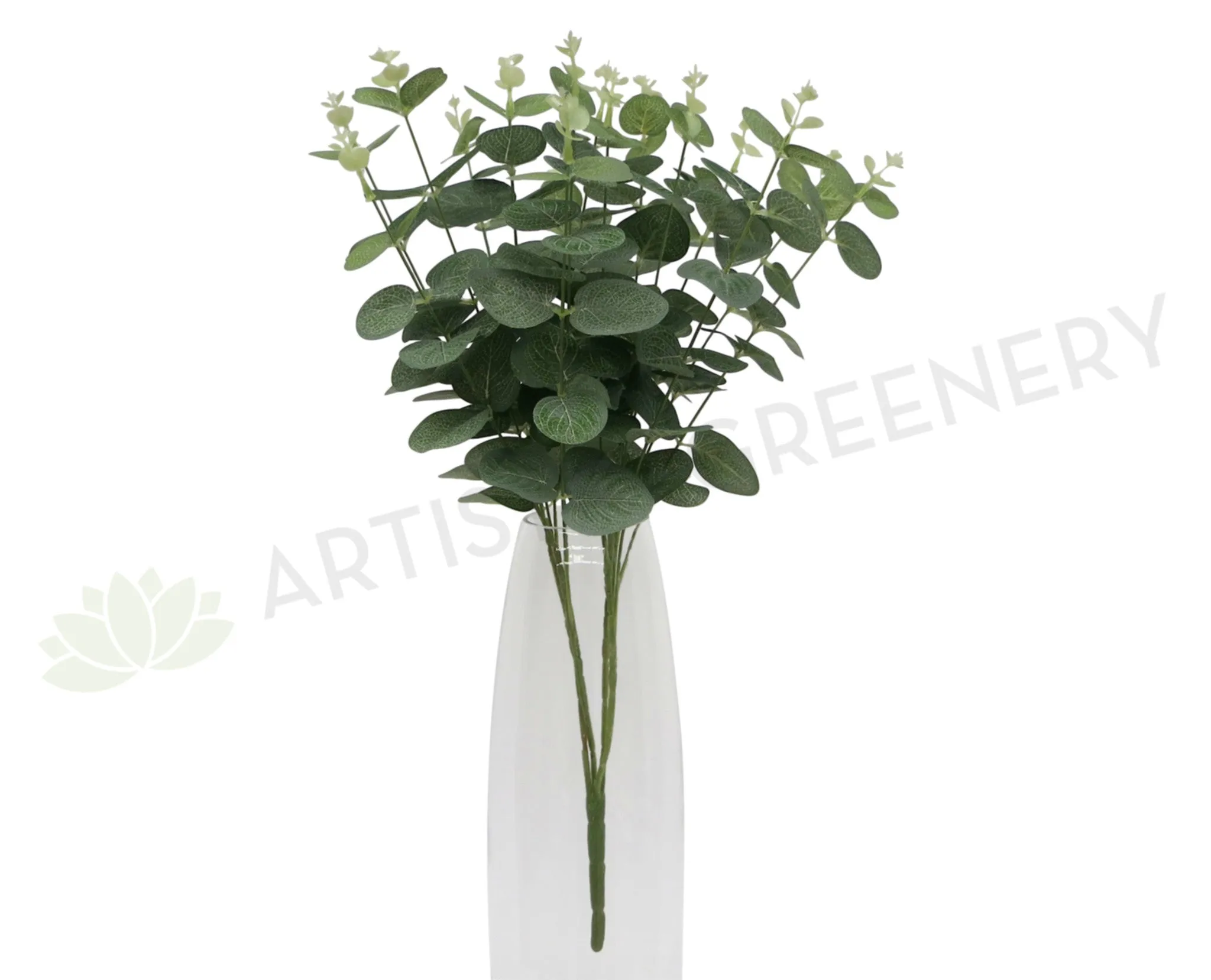 SP0053 Silver Dollar Eucalyptus Bunch 47cm dried green plant  
