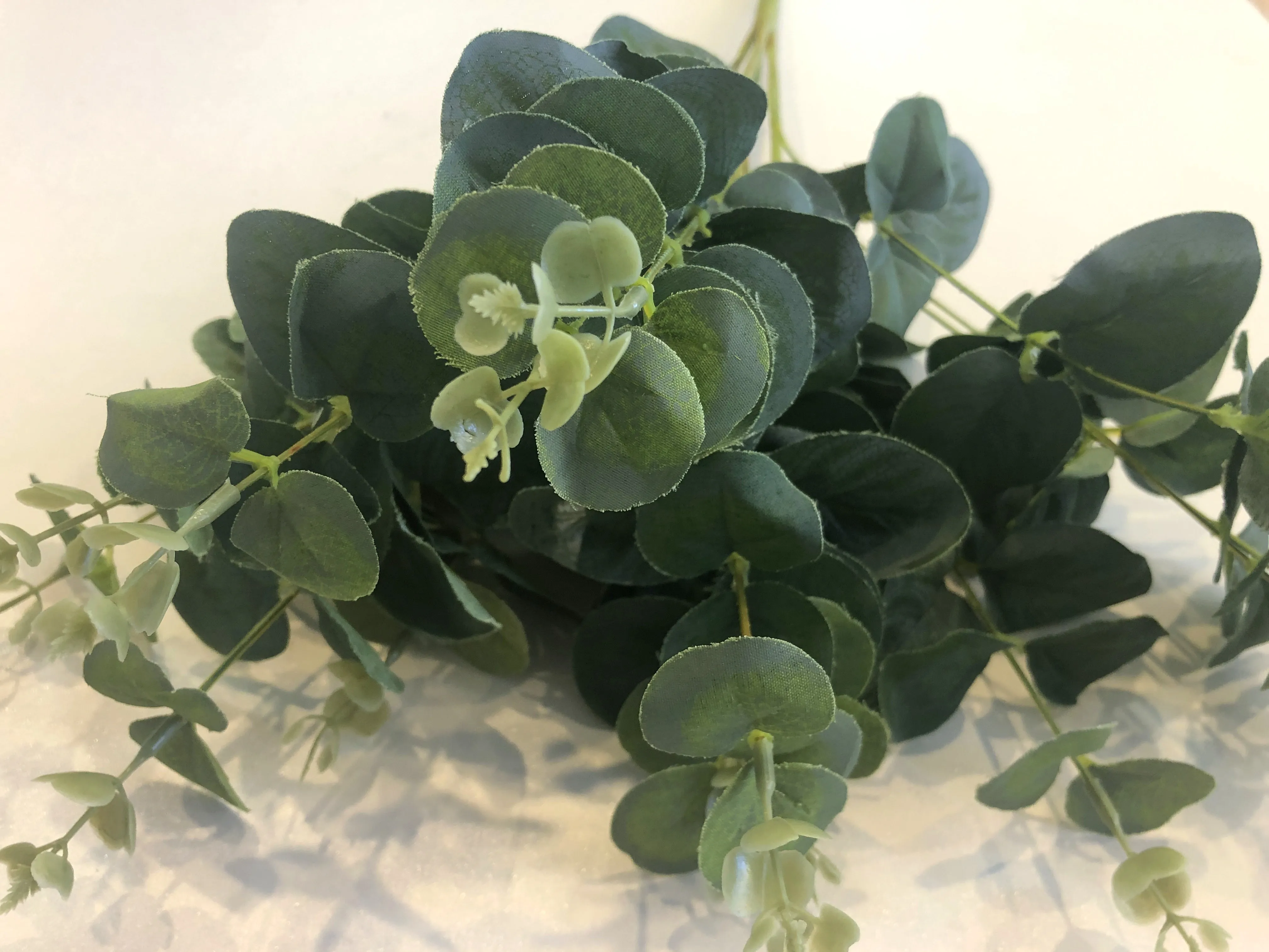 SP0053 Silver Dollar Eucalyptus Bunch 47cm