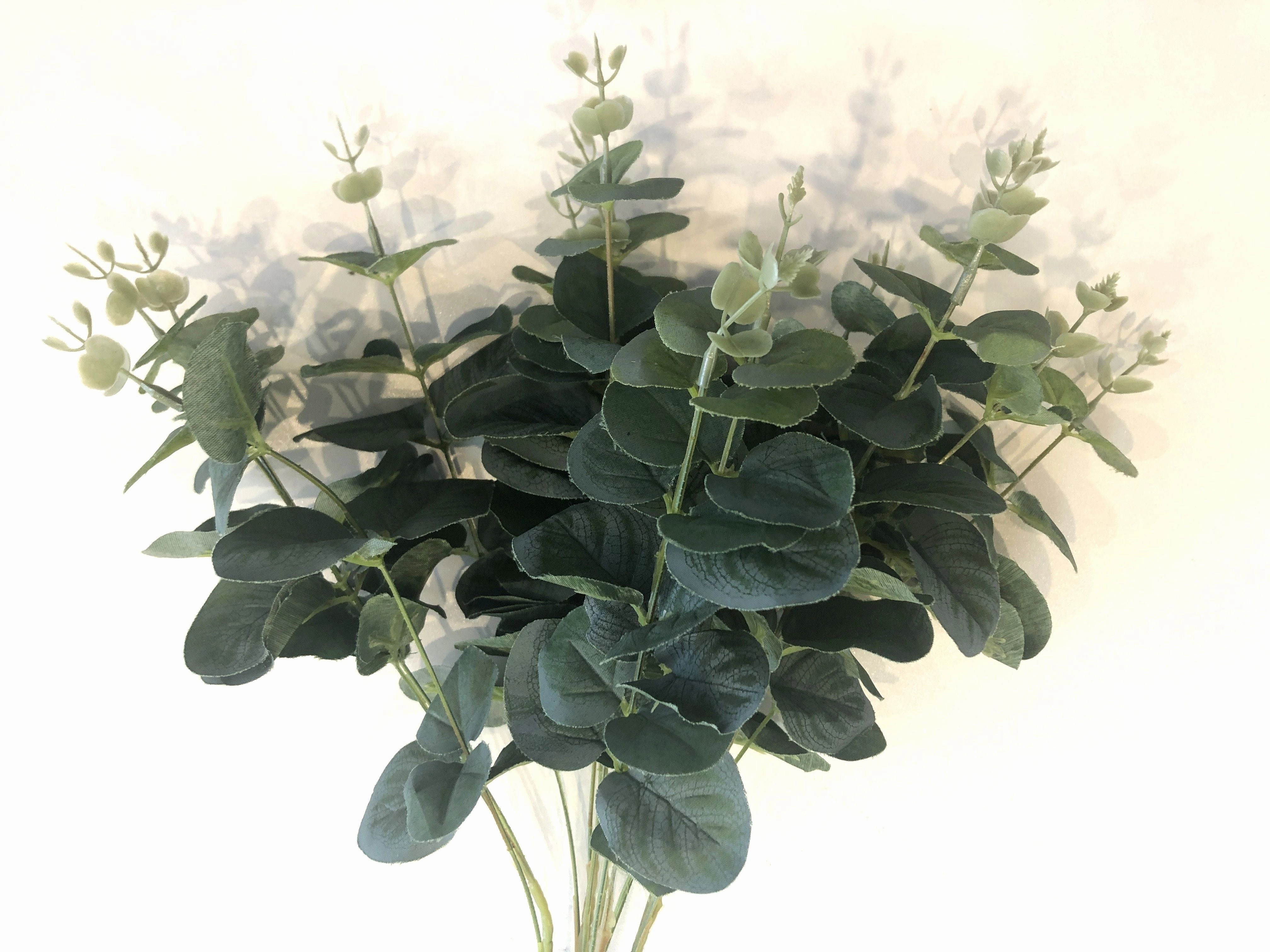 SP0053 Silver Dollar Eucalyptus Bunch 47cm