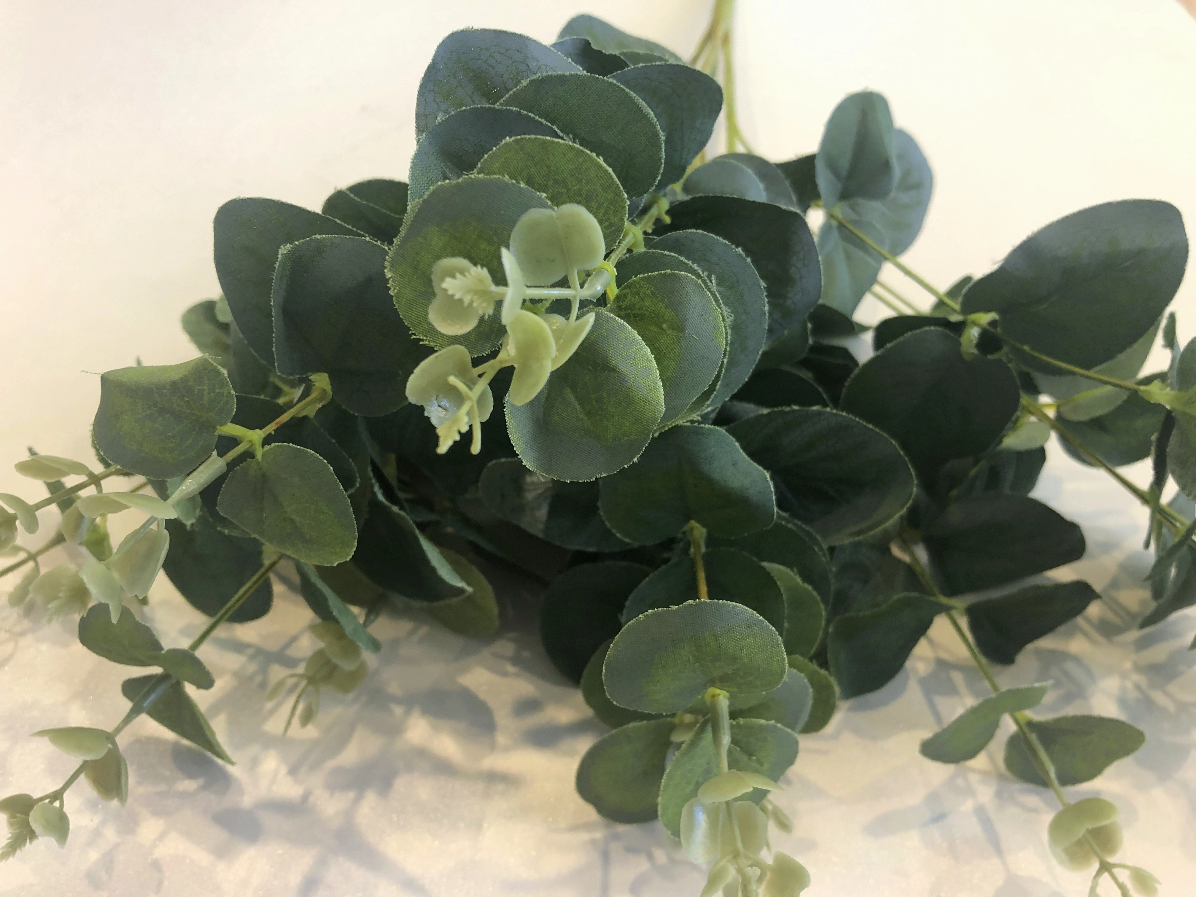 SP0053 Silver Dollar Eucalyptus Bunch 47cm