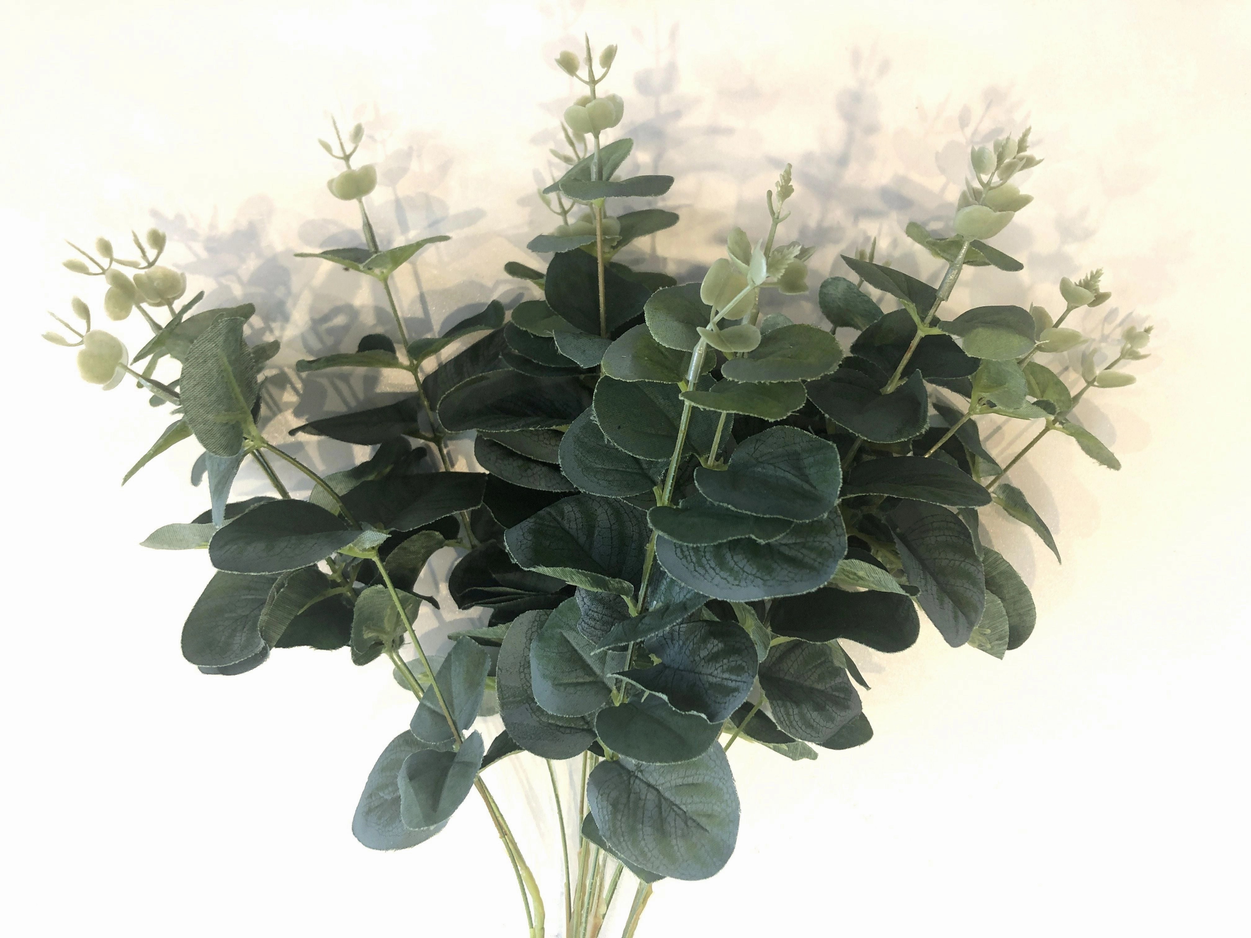 SP0053 Silver Dollar Eucalyptus Bunch 47cm