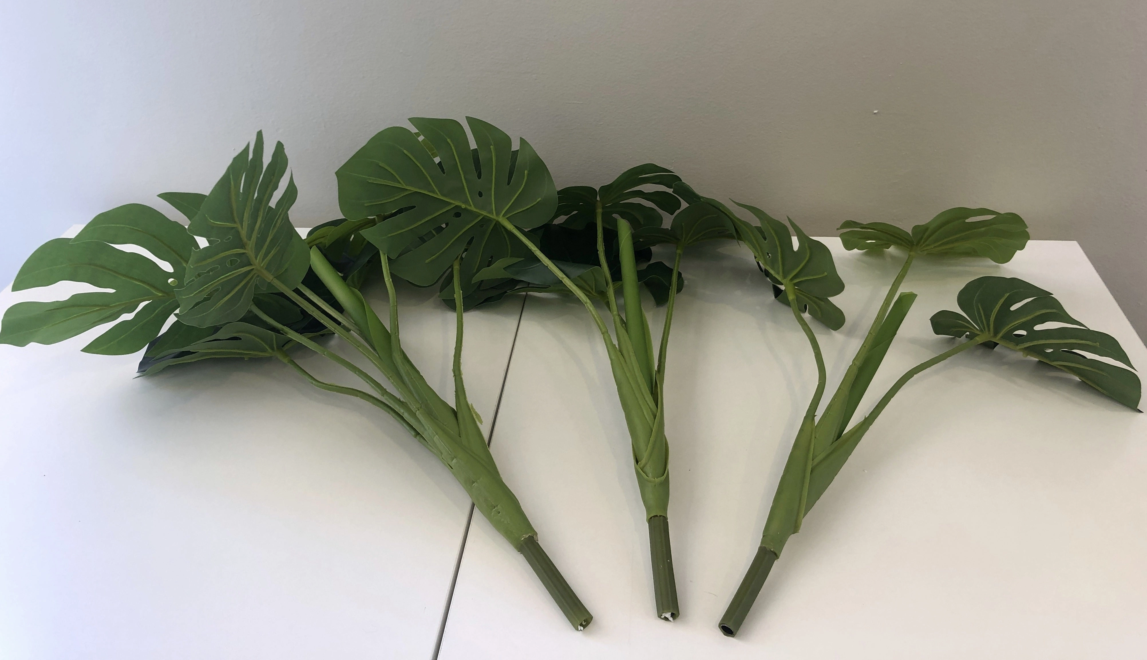 SP0056-60 Monstera / Swiss Cheese plant Plant 60cm (set of 3)