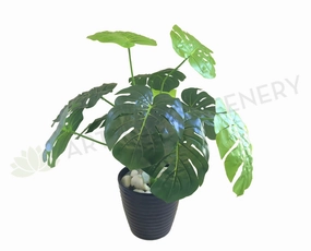 SP0056 SML Monstera / Swiss Cheese Plant 45cm Small indoor plant stand  