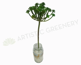 SP0061NEW Mini Echeveria Stem 40cm mini ornamental plant  