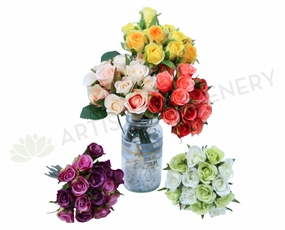 SP0067(b) Rose Bunch 21cm indoor houseplants  