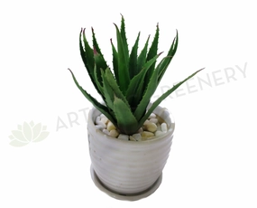 SP0089 Small Aloe Vera 19cm Green mini ornamental plant  