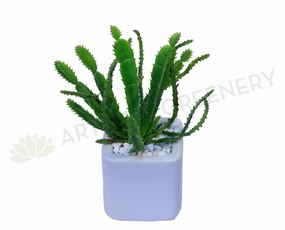 SP0091 Green Cactus 18cm mini ornamental plant  