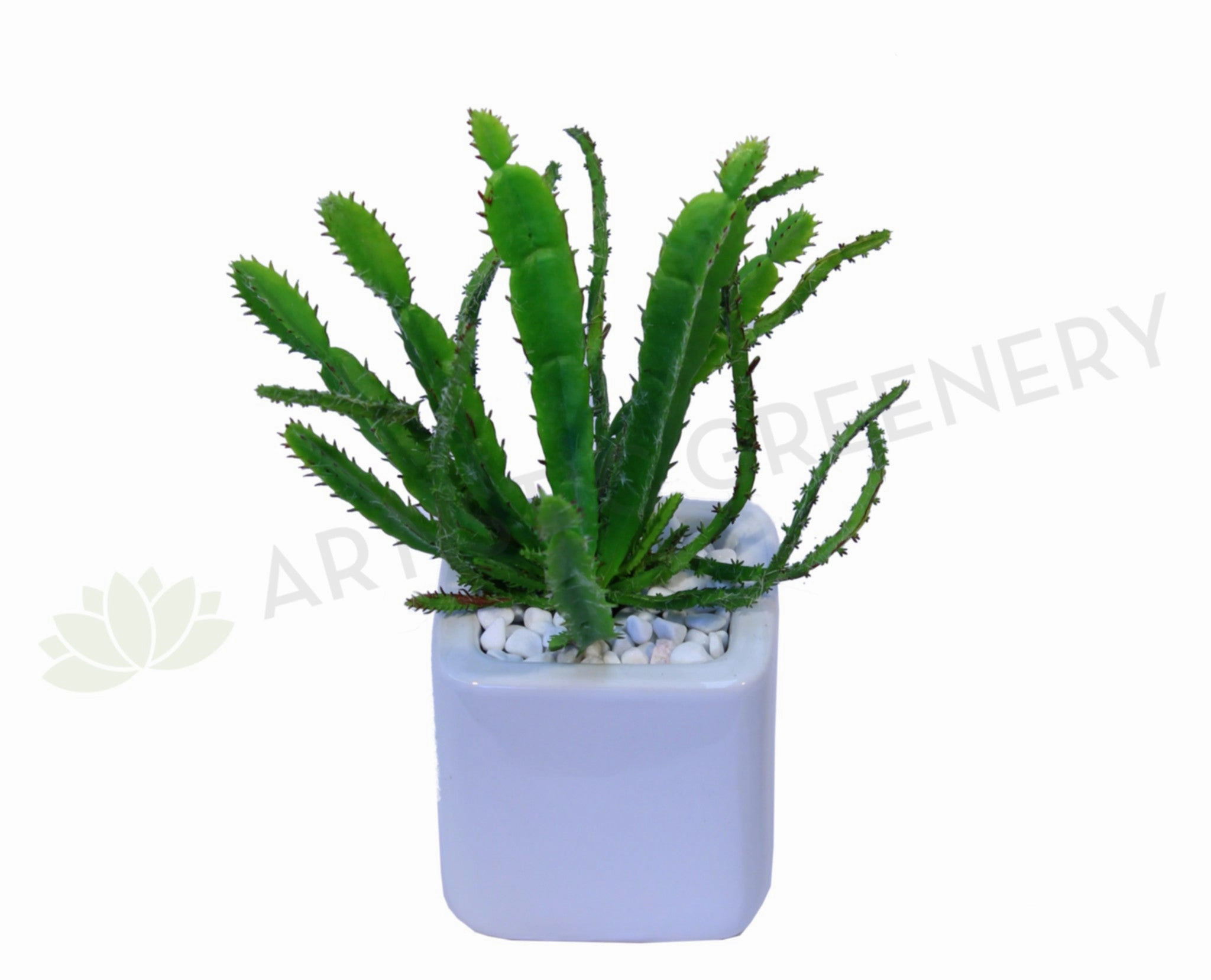 SP0091 Green Cactus 18cm mini ornamental plant  